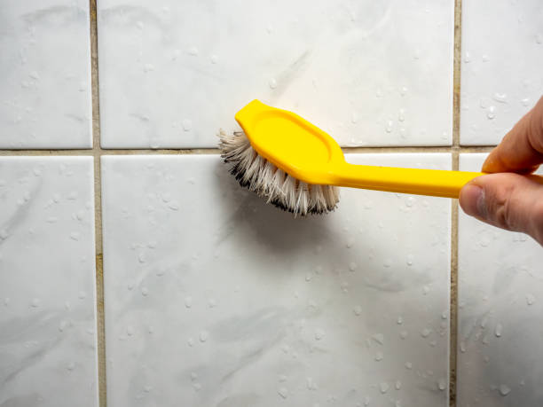 Best Same-Day Mold Removal  in Charlevoix, MI