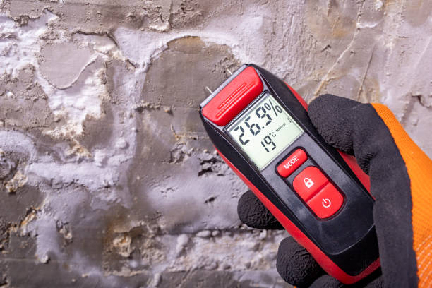 Best Crawl Space Mold Removal  in Charlevoix, MI