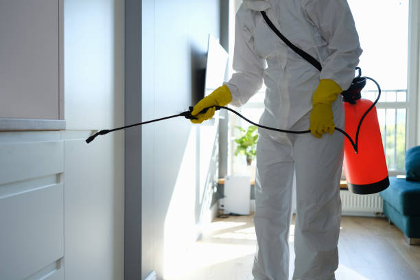Best Water Damage Restoration  in Charlevoix, MI