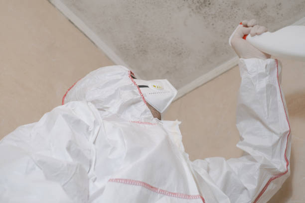 Best Mold Testing  in Charlevoix, MI